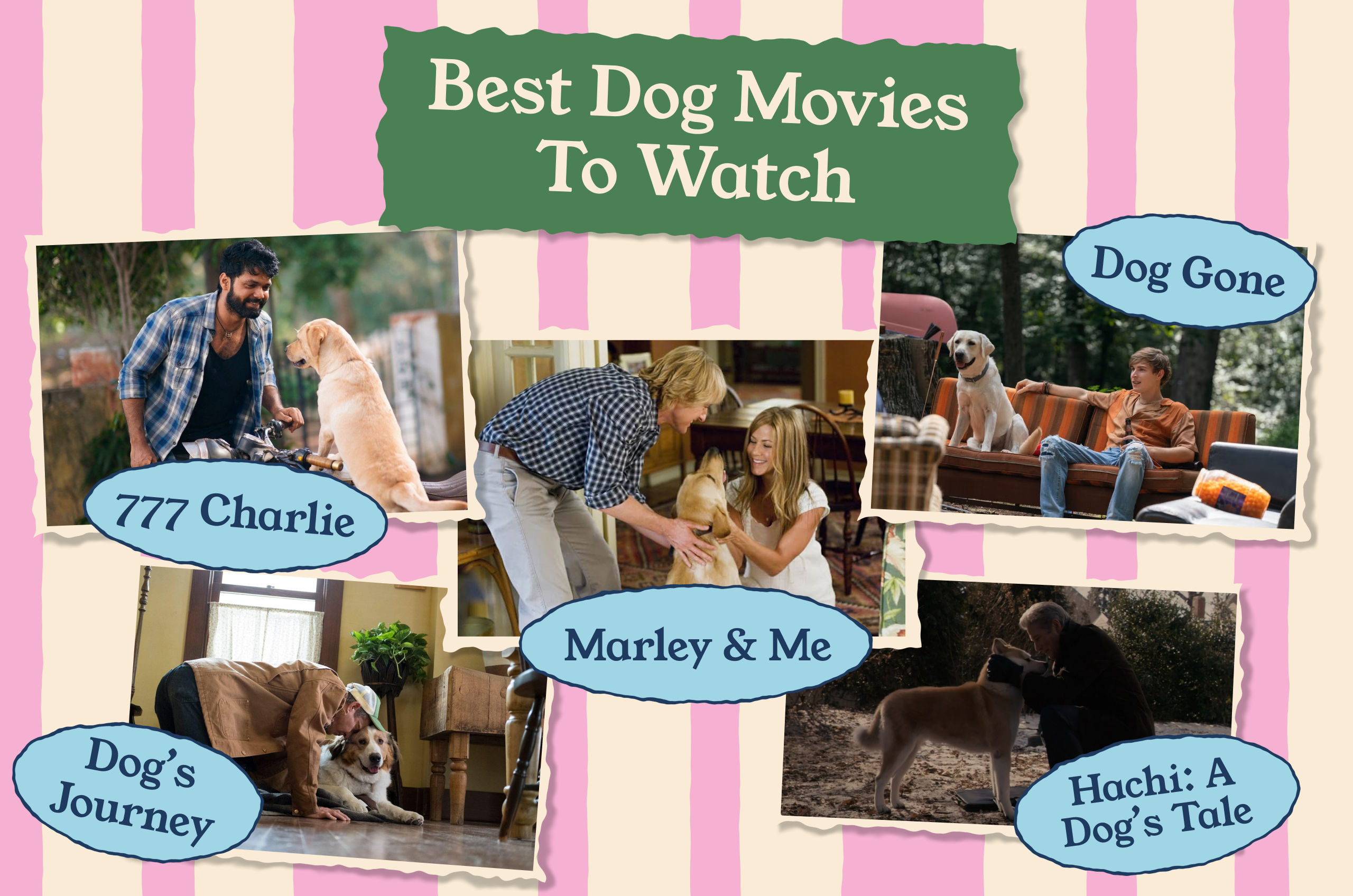 Need a Good Cry or a Tail-Wagging Smile? Start With These 18 Dog Films