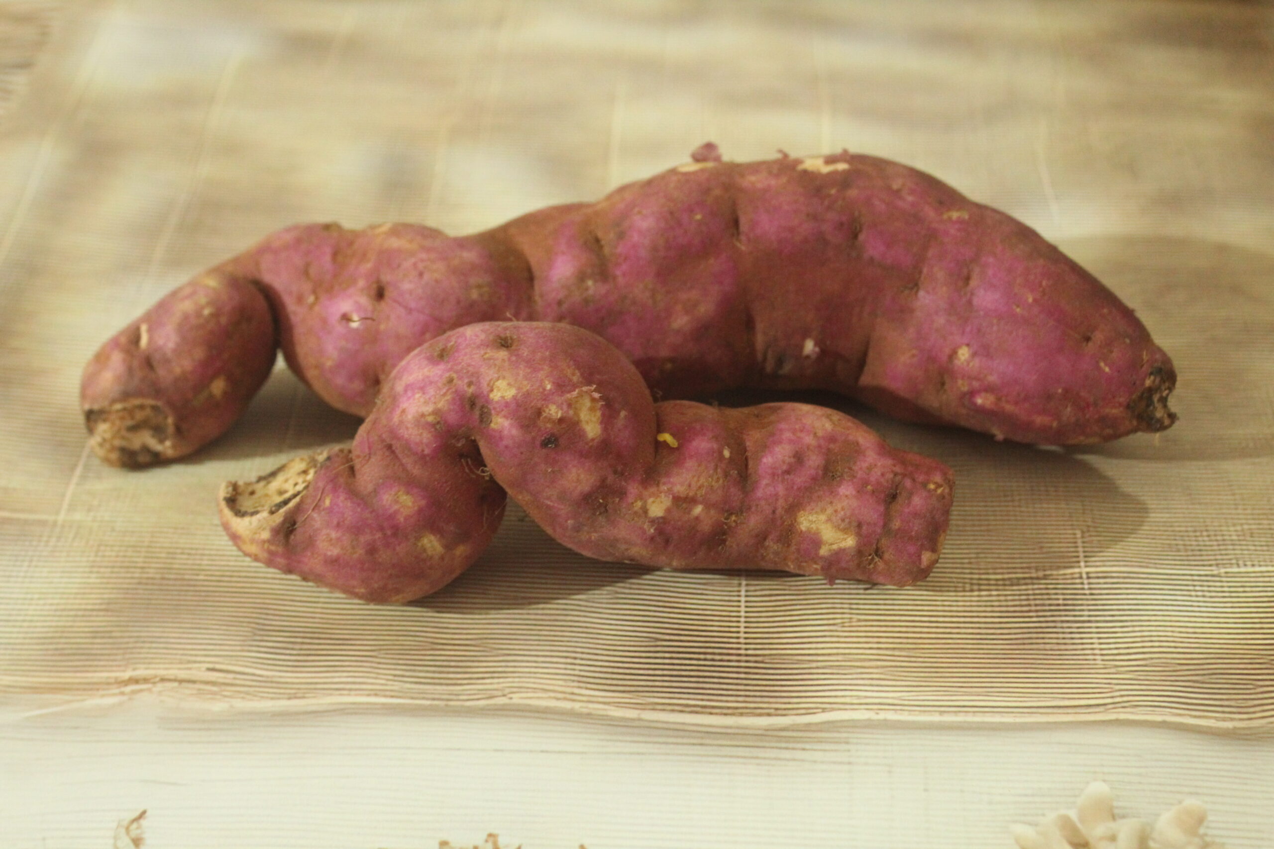 Should You Give Your Dog Sweet Potatoes? Let Me Convince You